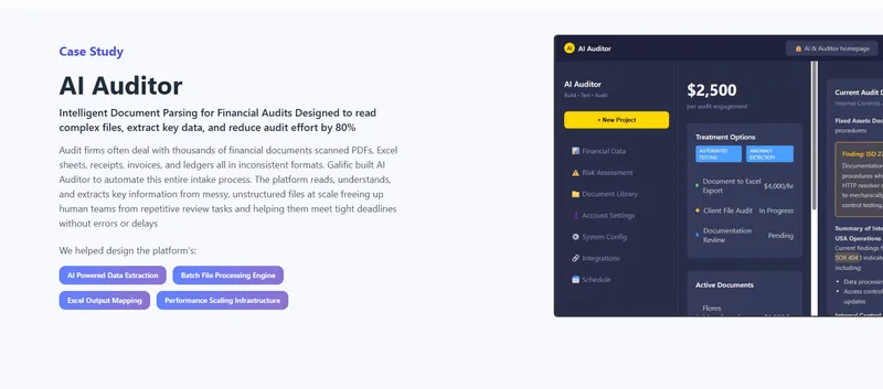 AI Auditor case study